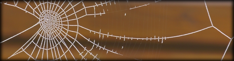 ""